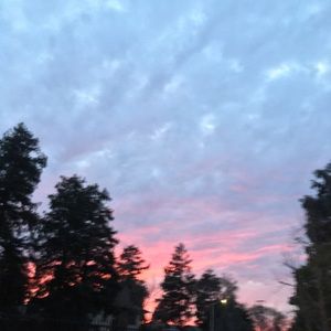 Meet your Posher, Aaliyah